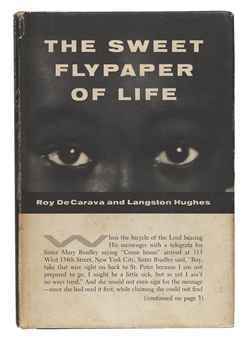 The Sweet Flypaper of Life book cover