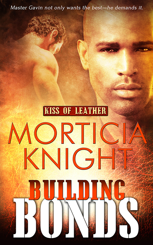 Kiss of Leather book cover 1