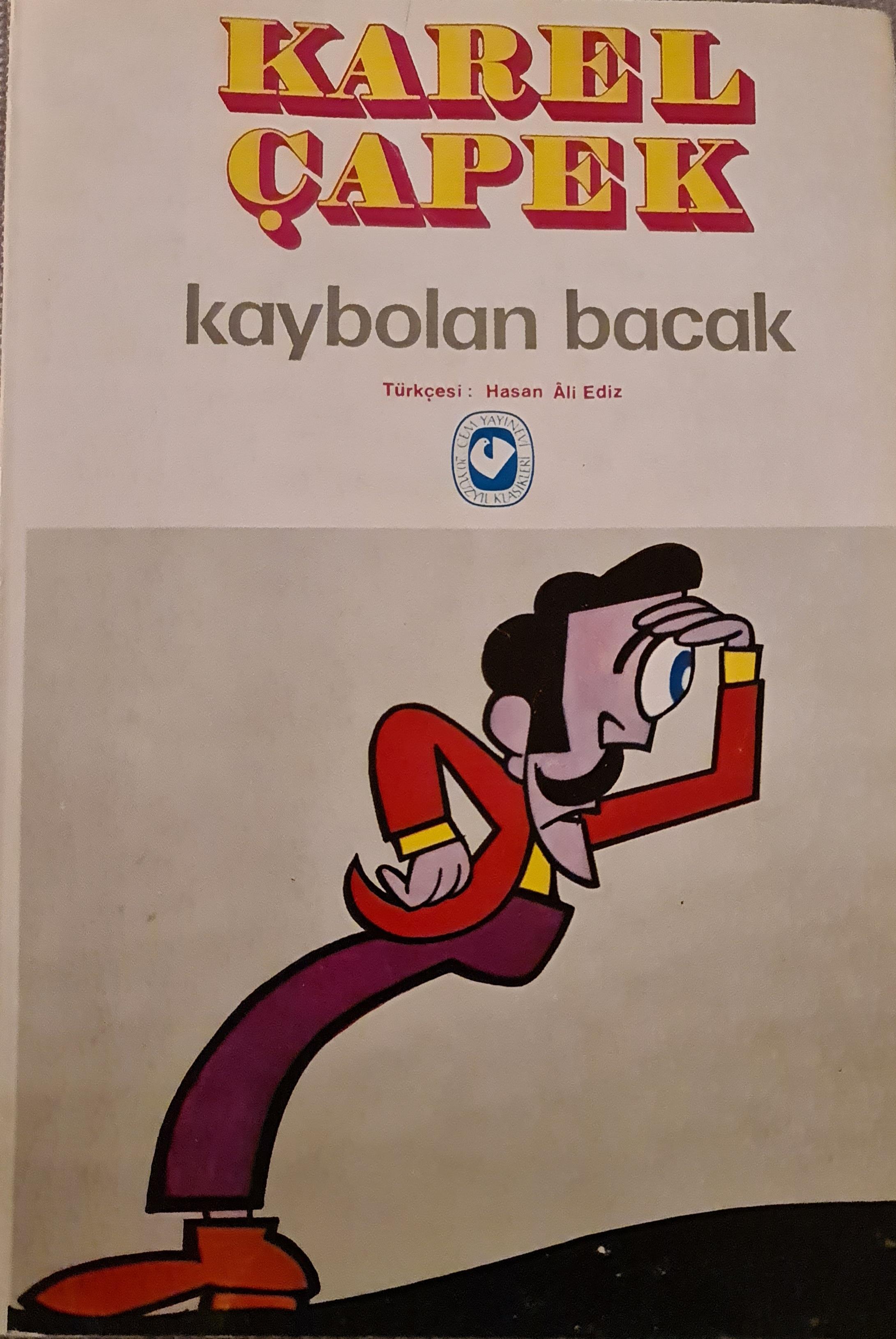 Kaybolan Bacak book cover