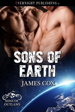 Sons of Outlaws book cover 1