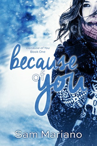 Because of You book cover