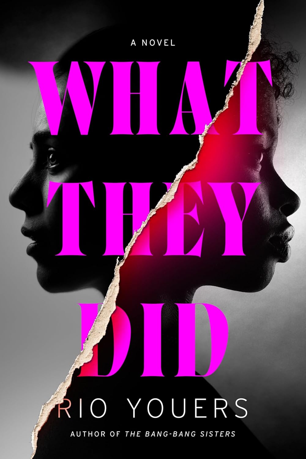 What They Did book cover