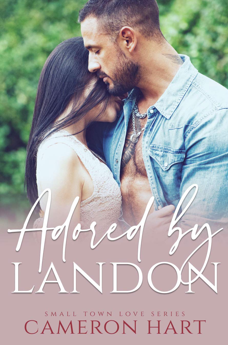 Small Town Love book cover 2