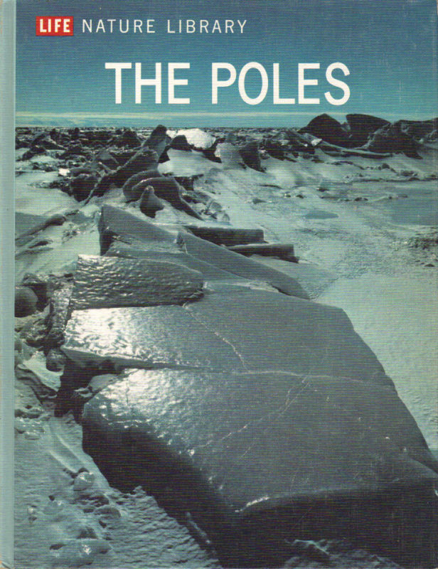 The Poles book cover