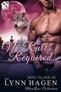 No Rules Required book cover