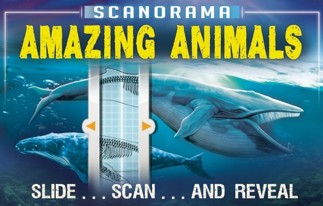Scanorama book cover