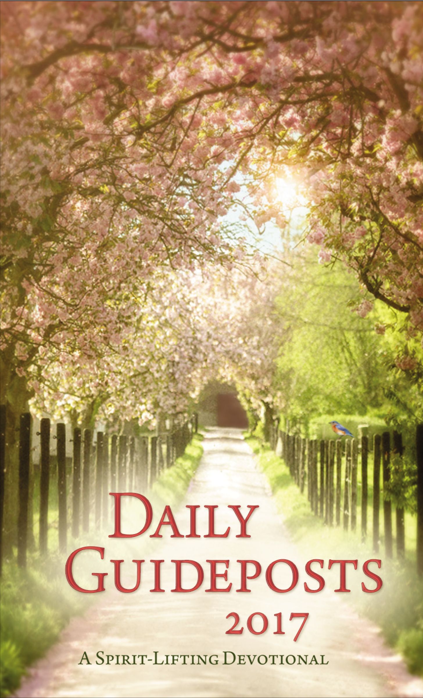 Daily Guideposts 2017 book cover