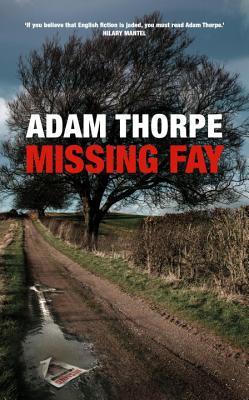 Missing Fay book cover