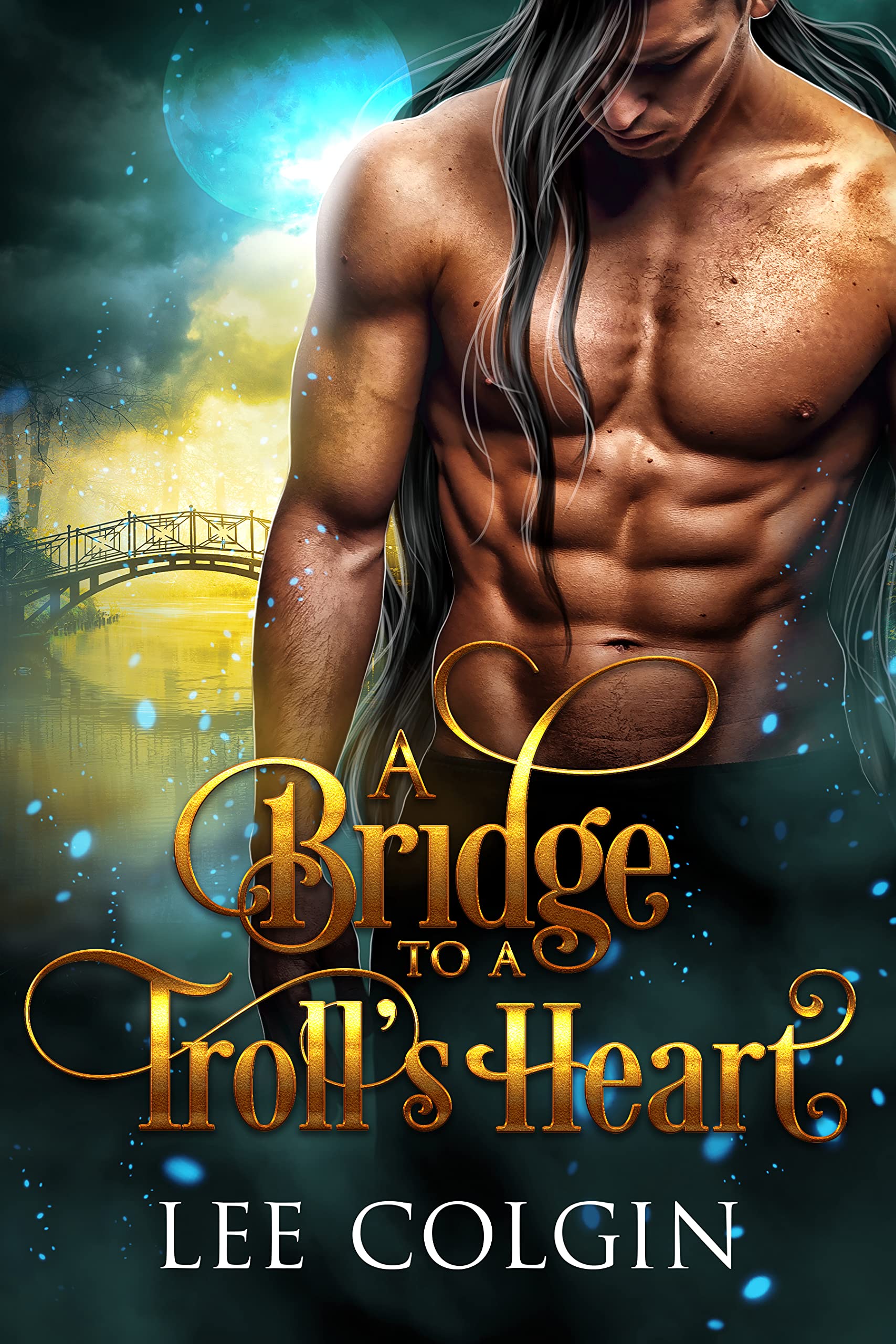 A Bridge to a Troll's Heart book cover