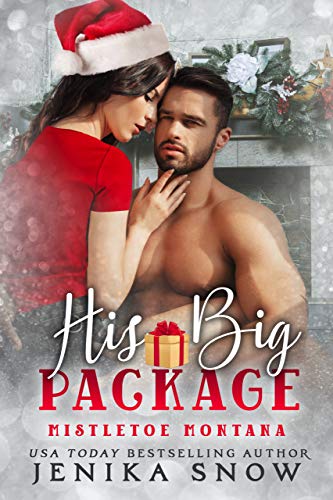 His Big Package book cover