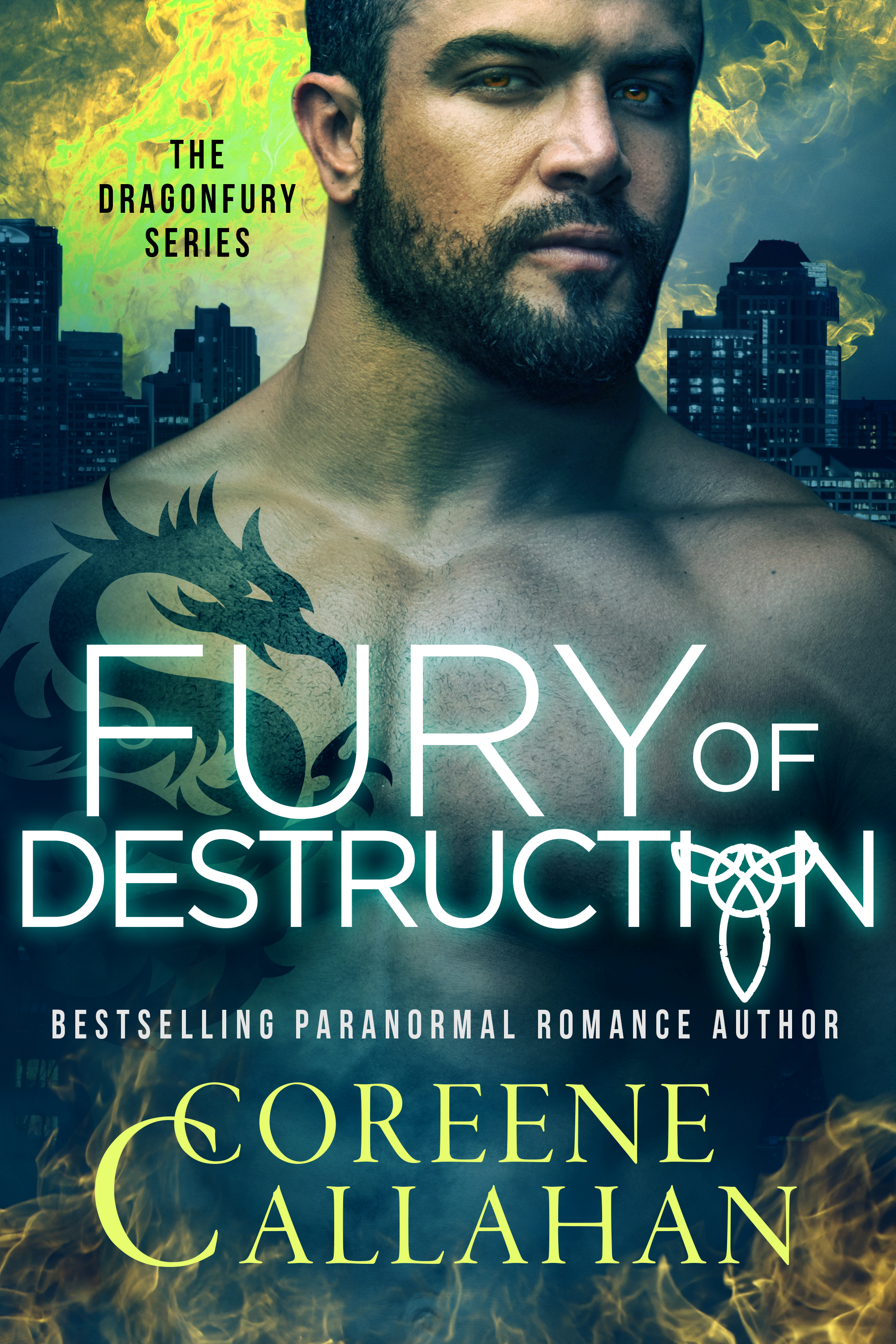 Fury of Destruction book cover