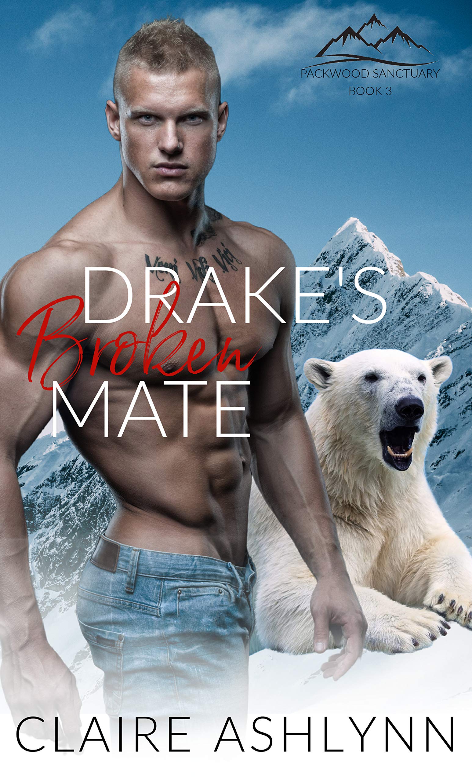 Drake's Broken Mate book cover