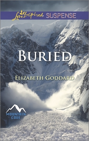 Mountain Cove book cover 1