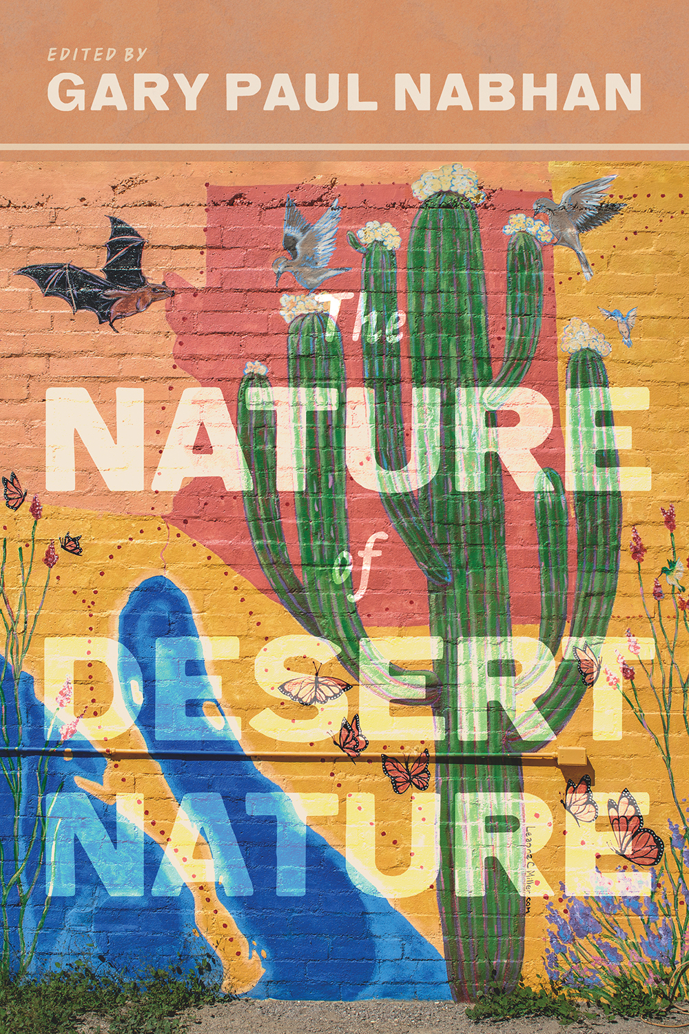 The Nature of Desert Nature book cover