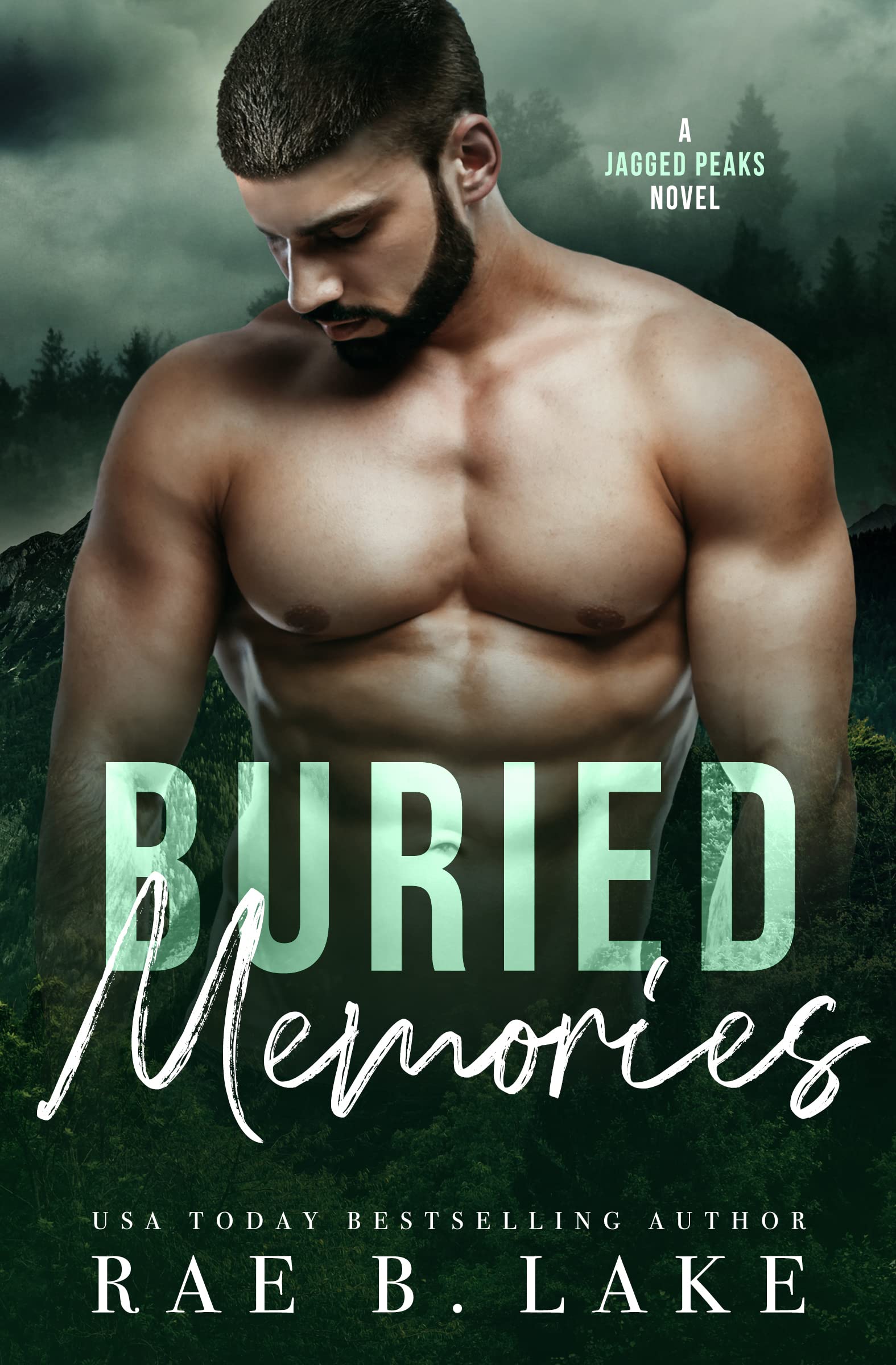 Jagged Peaks Mountain book cover 2