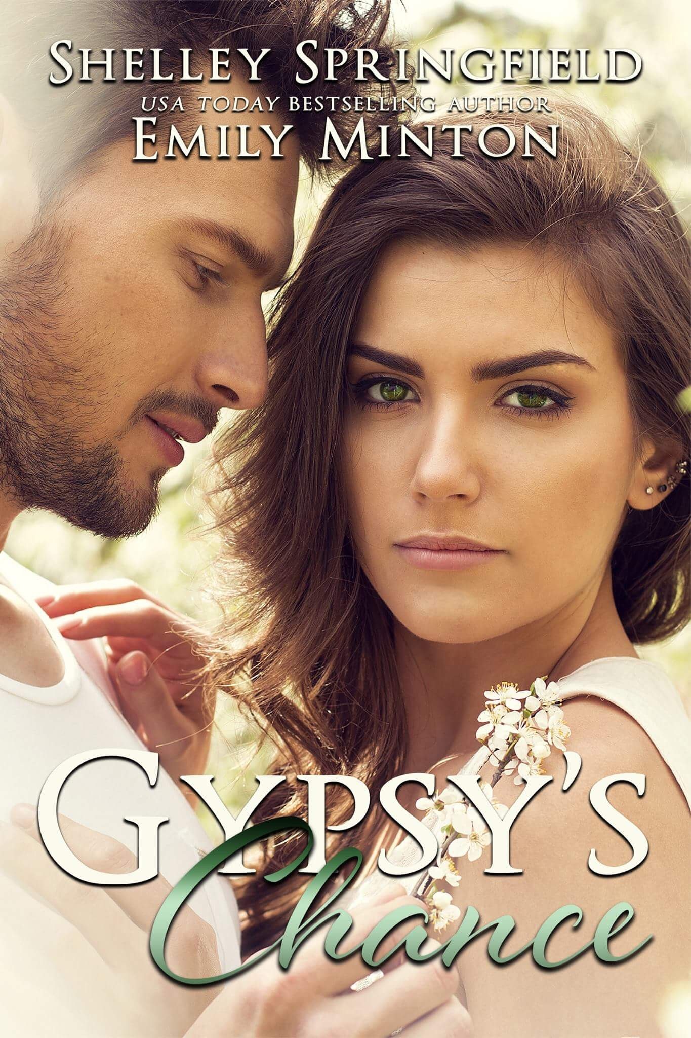 Gypsy's Chance book cover