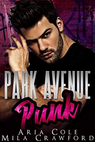 Park Avenue Punk book cover