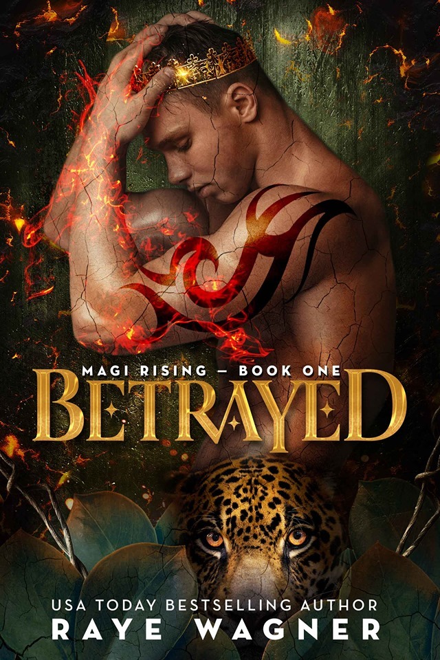 Magi Rising book cover 1