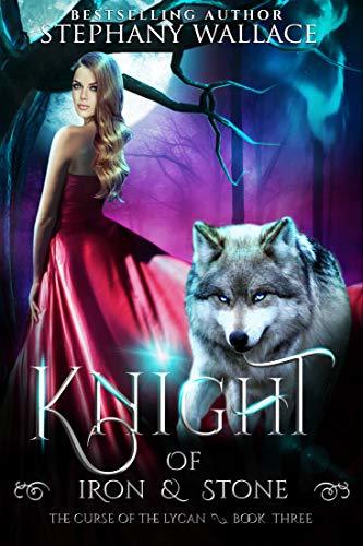Knight of Iron & Stone book cover