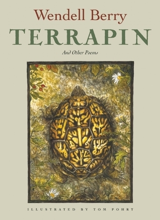 Terrapin book cover