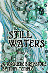 Still Waters book cover