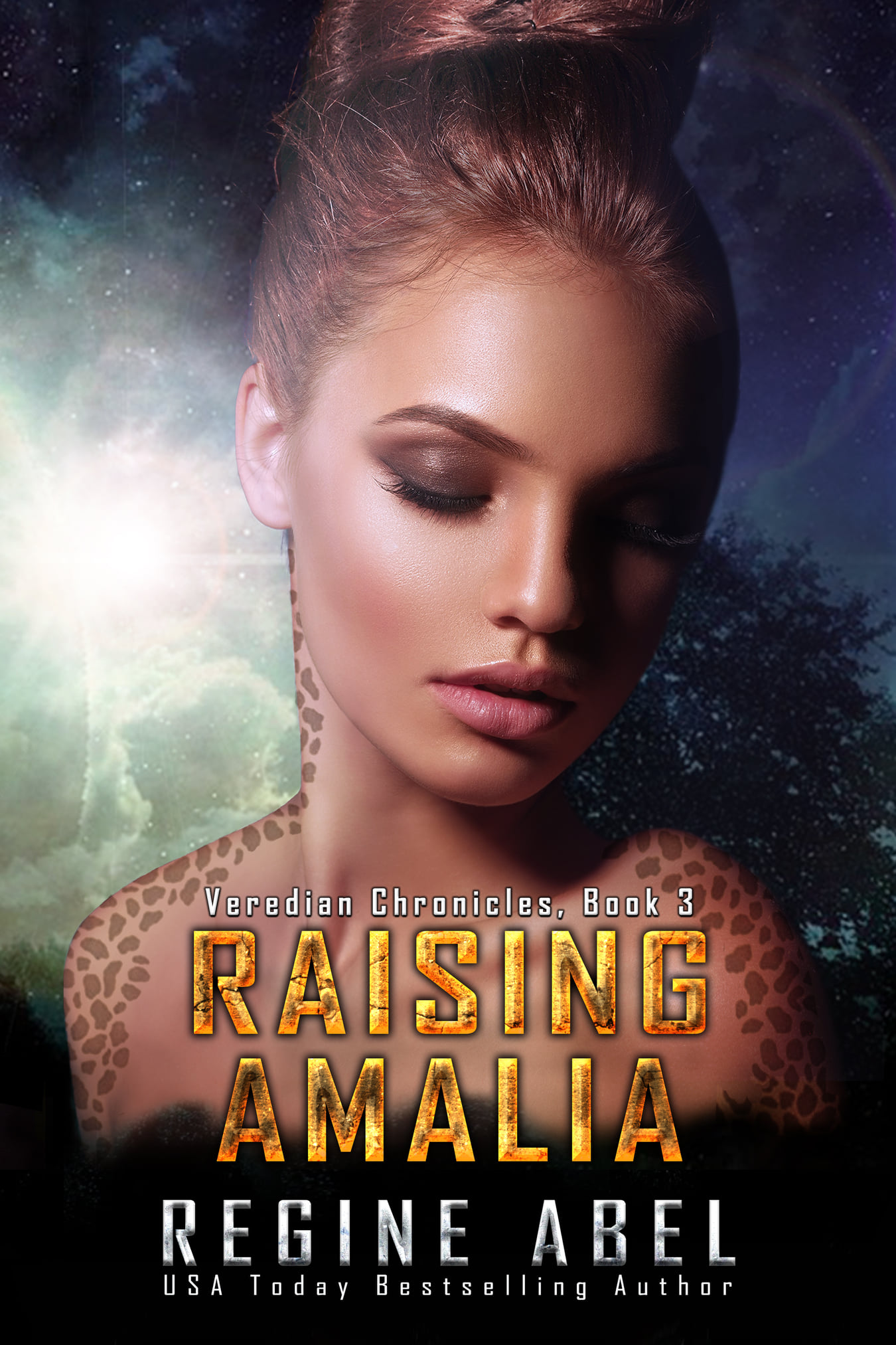 Veredian Chronicles book cover 3
