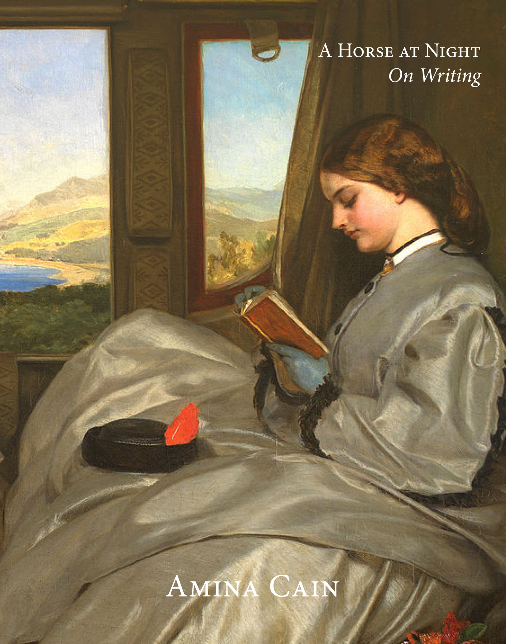 A Horse at Night book cover