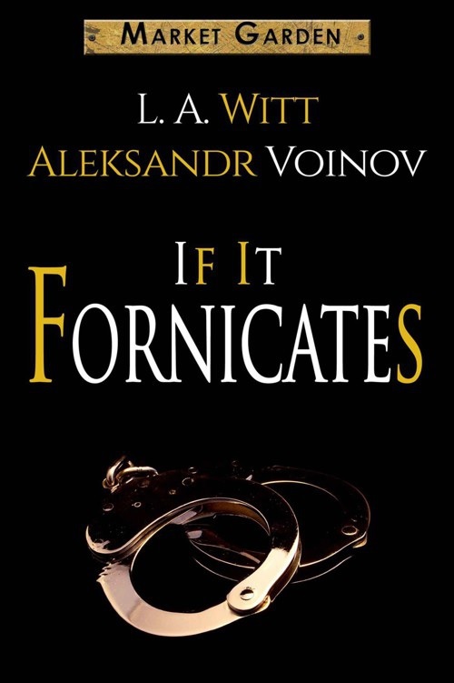 If It Fornicates book cover