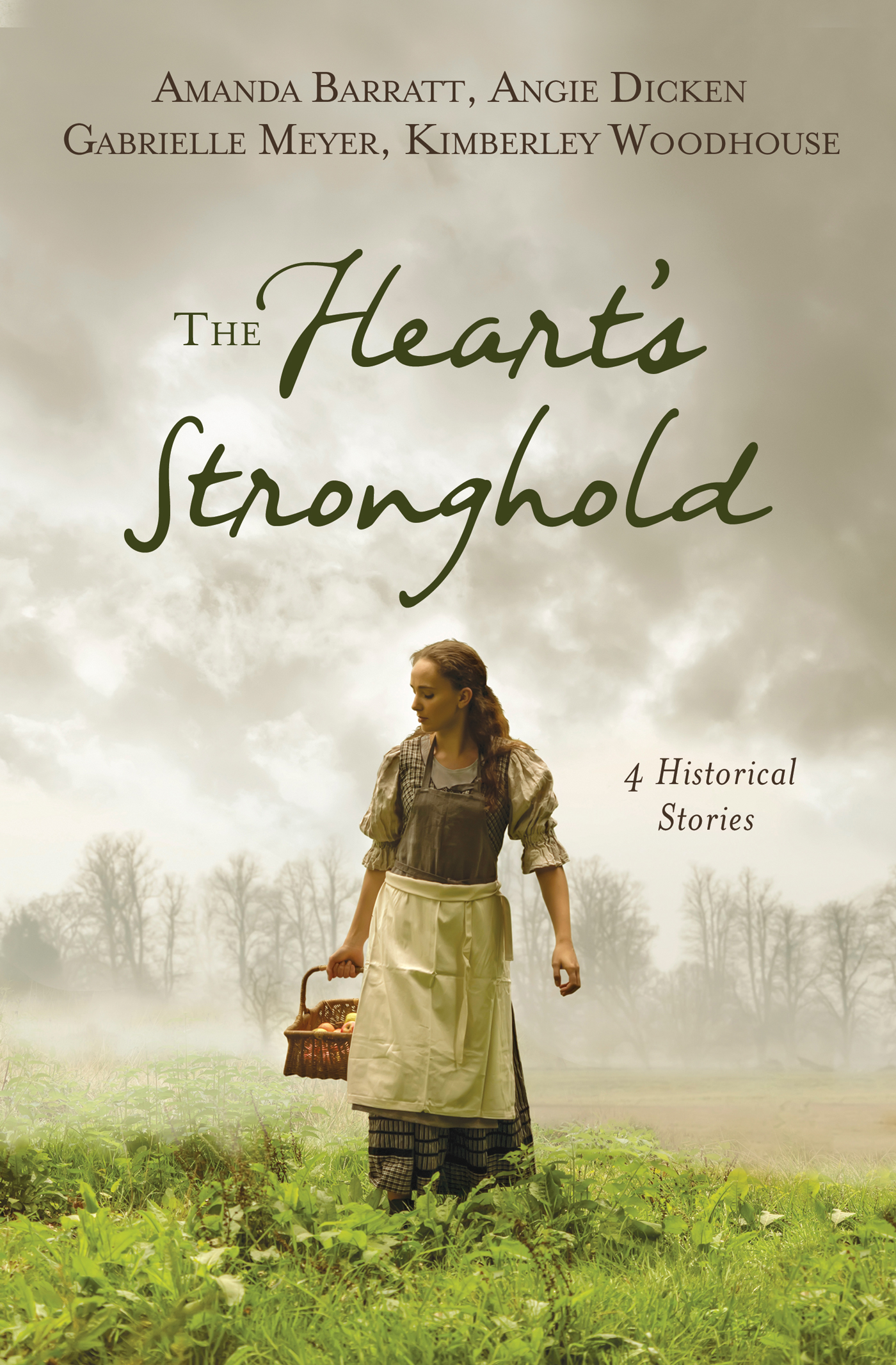 The Heart's Stronghold book cover