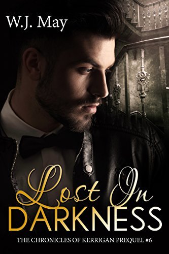 Lost in Darkness book cover
