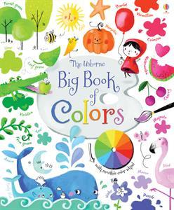 The Usborne Big Book of Colors book cover