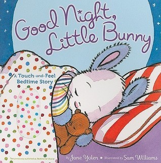 Good Night, Little Bunny book cover