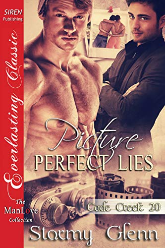 Picture-Perfect Lies book cover