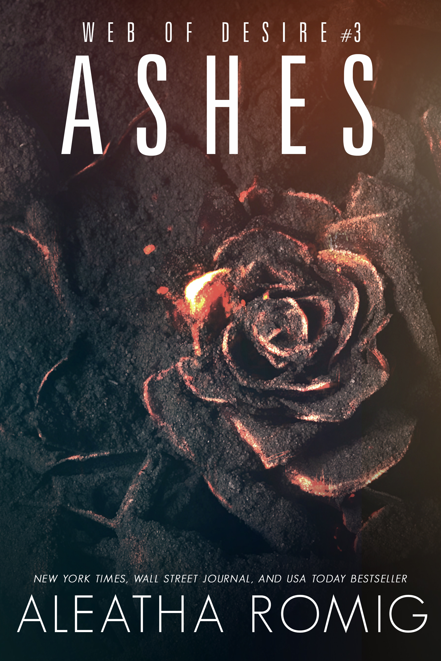 Web of Desire book cover 3