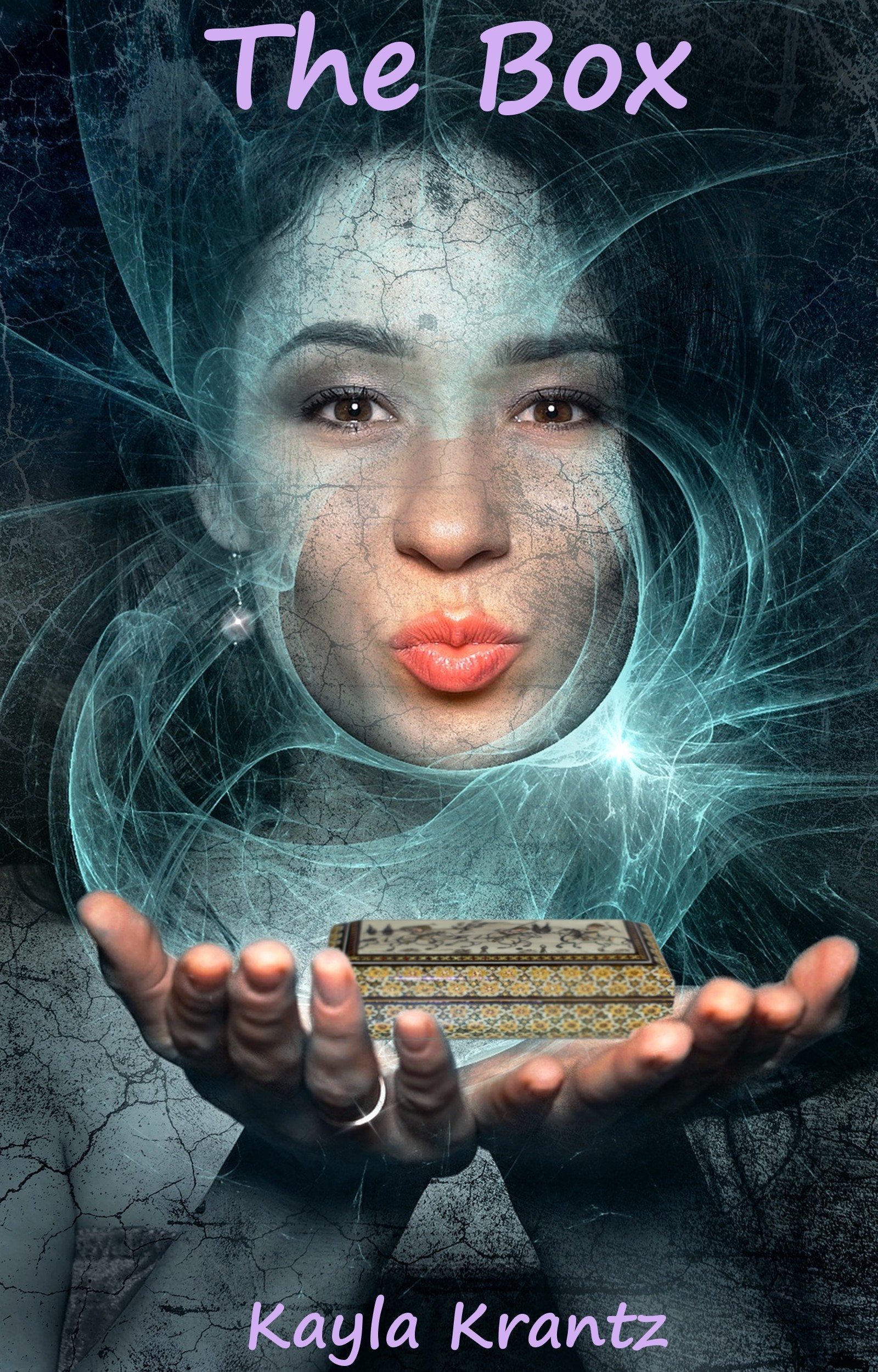 The Box book cover