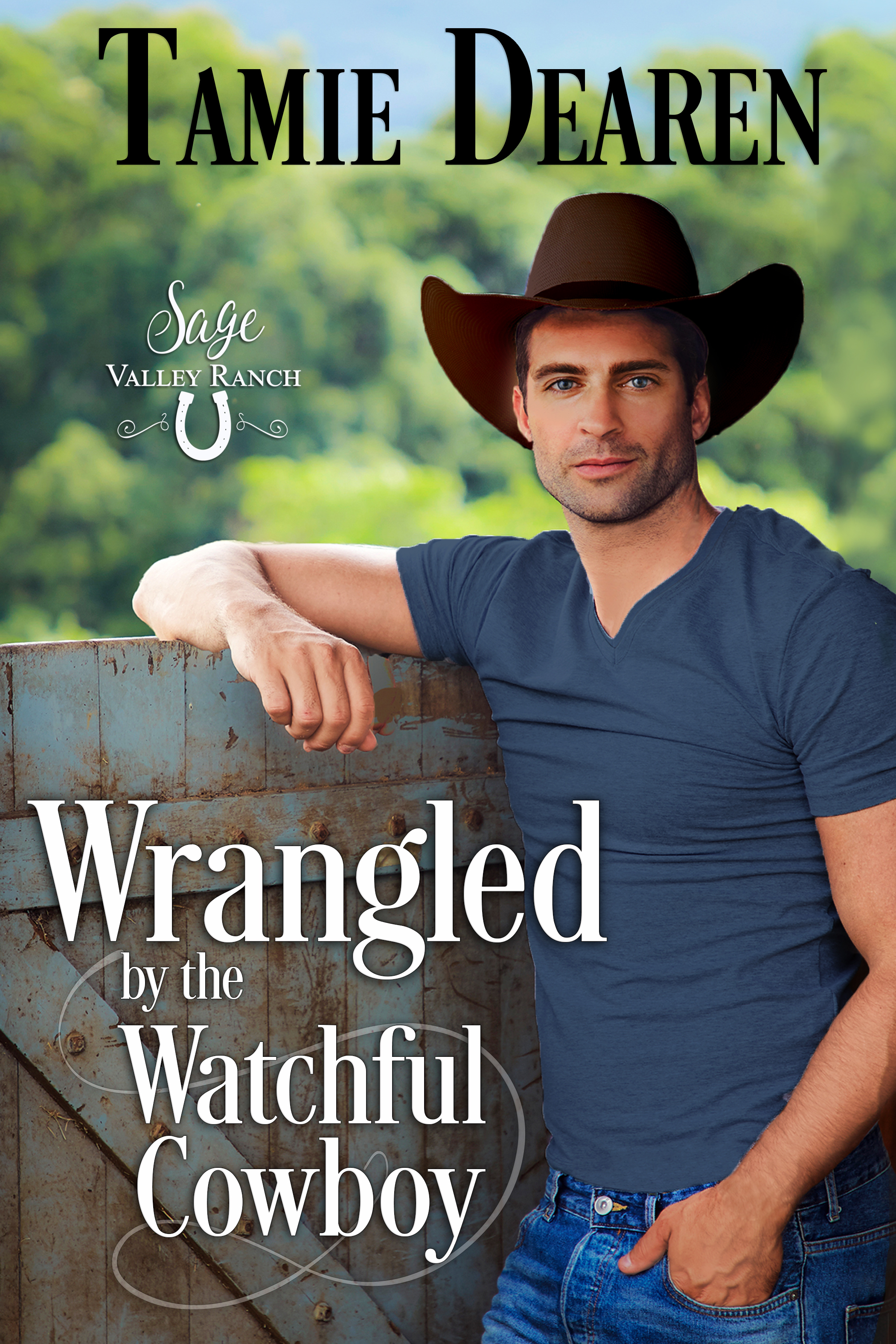 Sage Valley Ranch book cover 3