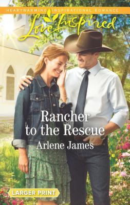 Three Brothers Ranch book cover 2