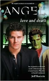 Angel book cover