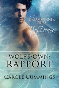 Rapport book cover