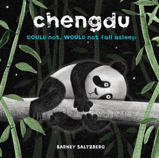 Chengdu Could Not Would Not Fall Asleep book cover