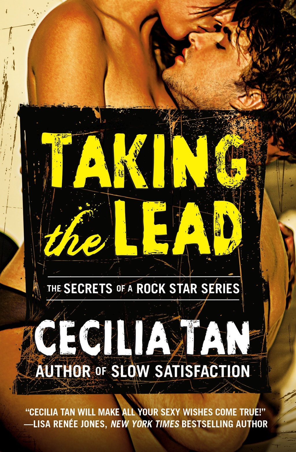 Secrets of a Rock Star book cover 1