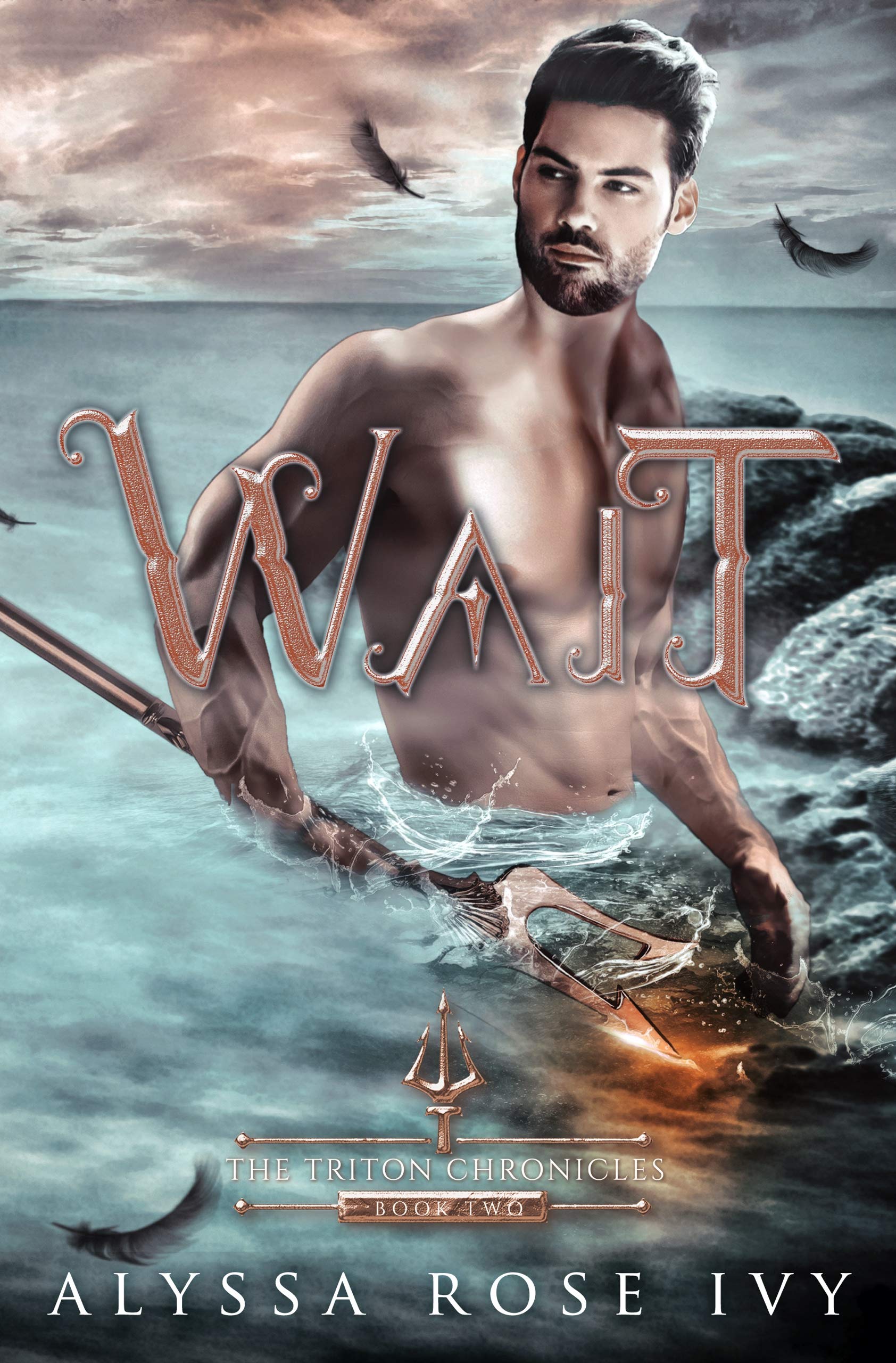 The Triton Chronicles book cover 2