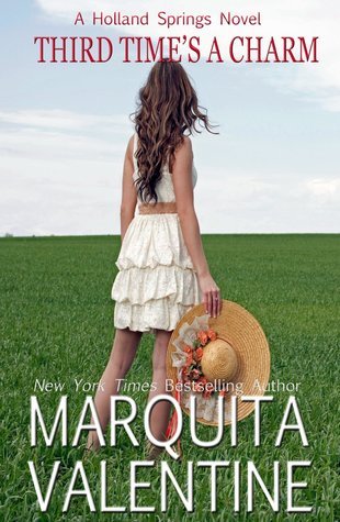 Holland Springs book cover 3