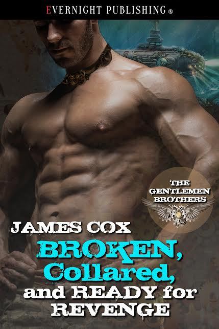 The Gentlemen Brothers book cover 3