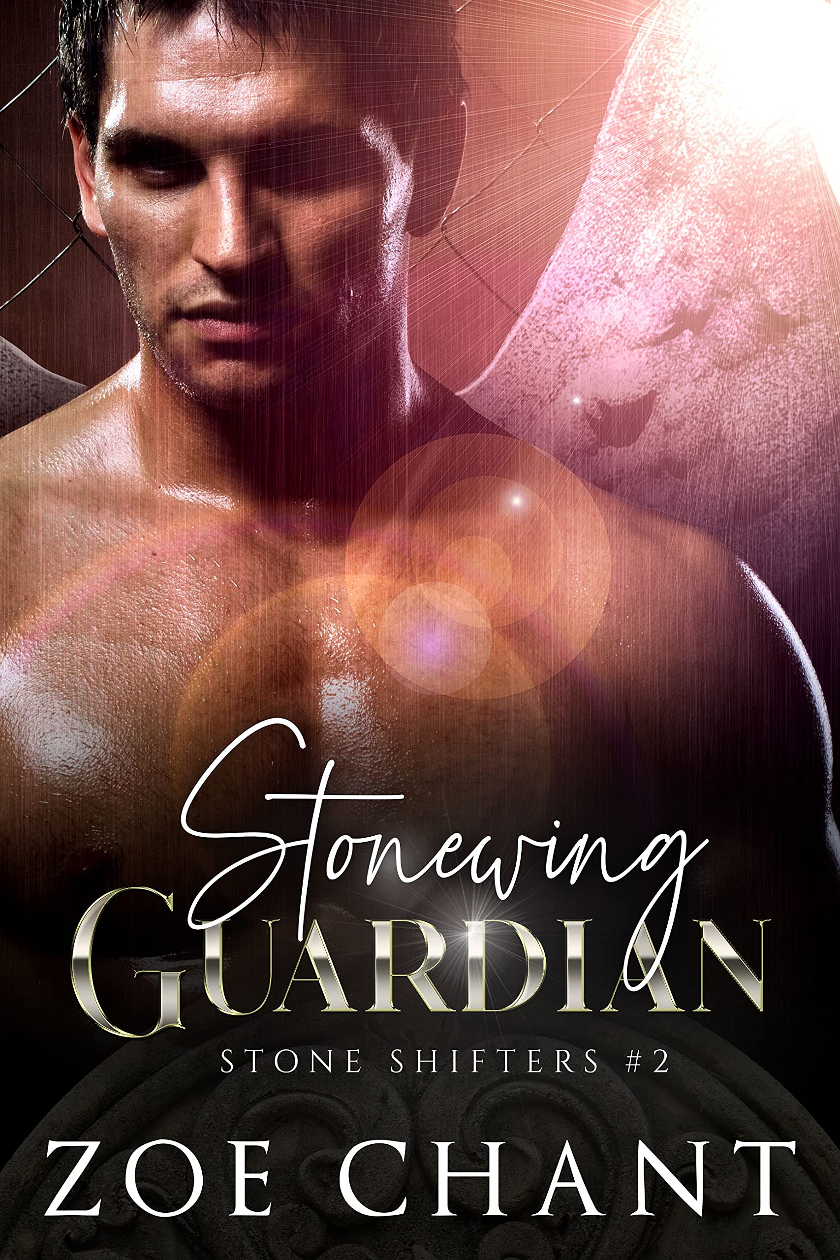 Stone Shifters book cover 2