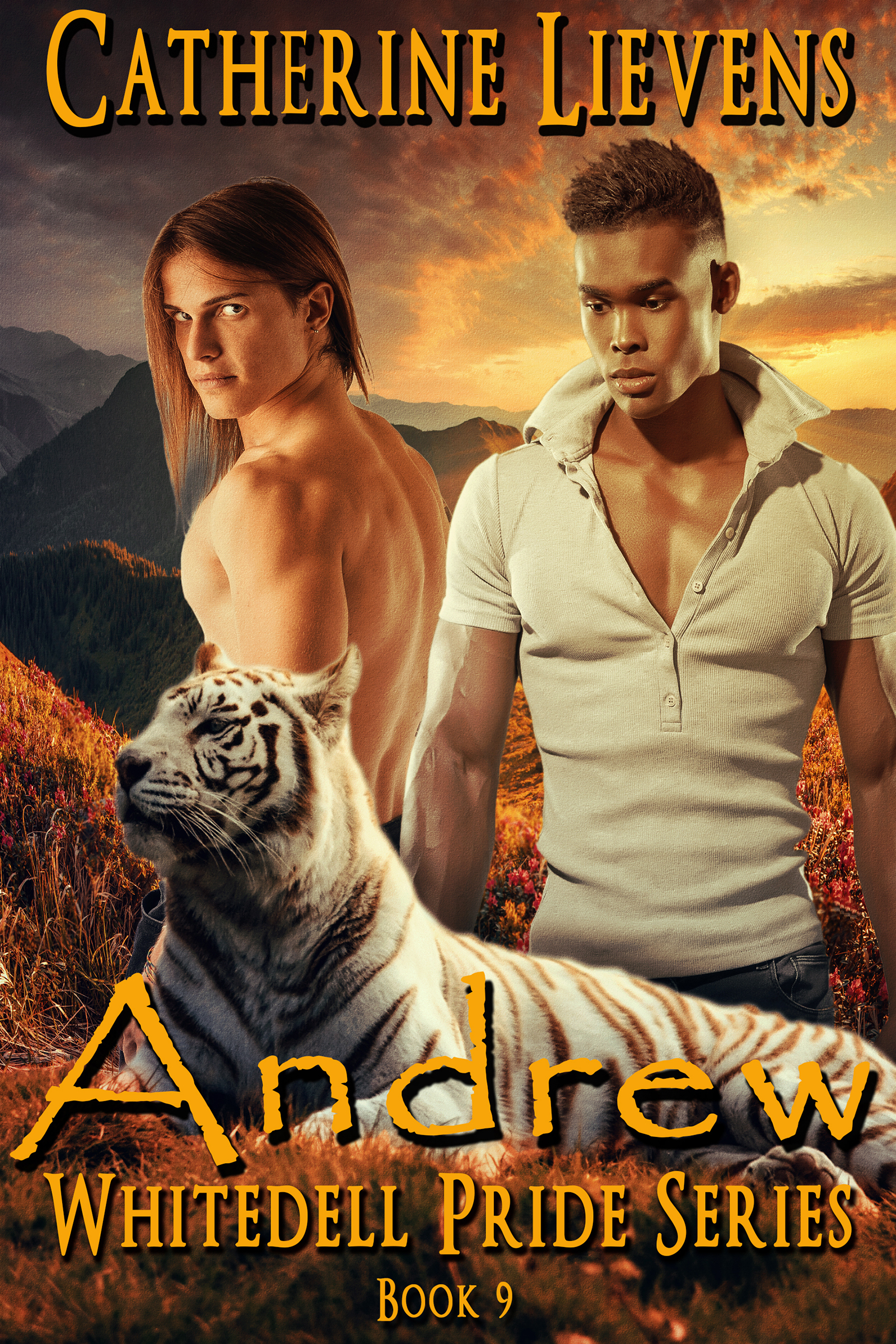 Andrew book cover
