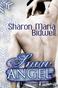 Angel book cover 1