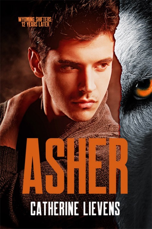 Wyoming Shifters: 12 Years Later book cover 1