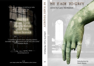 We Fade To Grey book cover