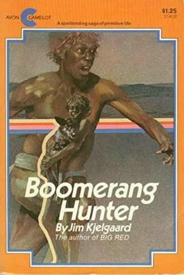 Boomerang hunter book cover
